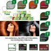 Crema-Henna colorante nr.1 Biondo-Argentato 'Herbal Time'