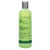 Shampoo per capelli rigenerante con argan e 5 oli "Spa Master" 330ml