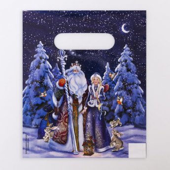 Sacchetto regalo natalizio 17x20cm