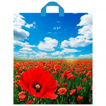 Sacchetto regalo 3,5х40 cm Sacchetto regalo 3,5х40 cm