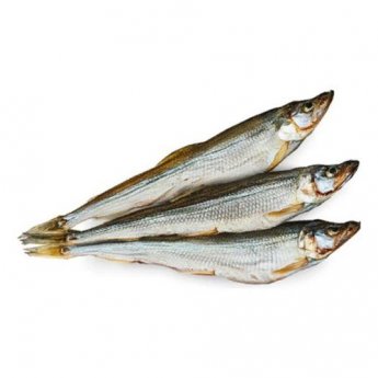 Pesce lucertola "Kaluri" essicata e salata (100g)