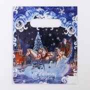 Borsina "Troika" 17x20cm