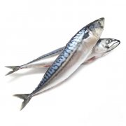 Sgombro in salamoia (al kg)